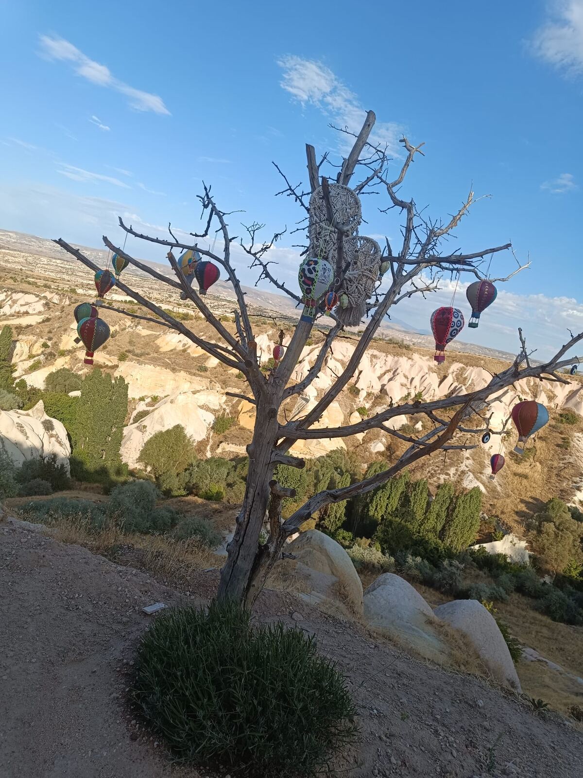 Baum mit Heißluftballon-Anhängern in Kappadokien